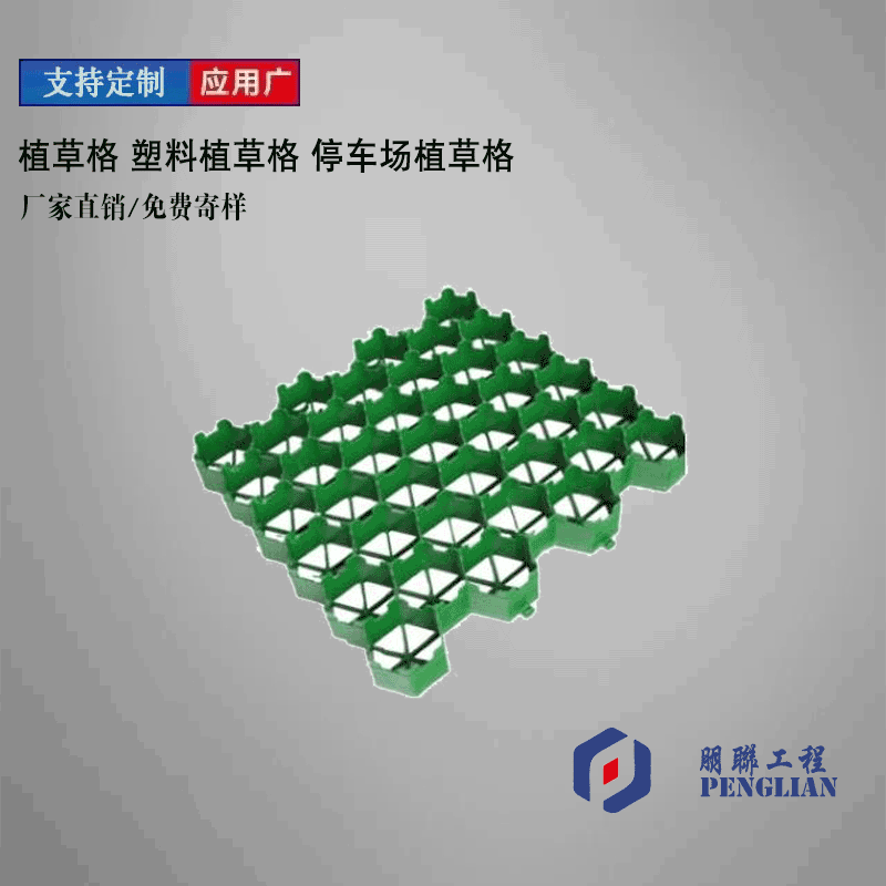 亳州植草格 亳州塑料植草格
